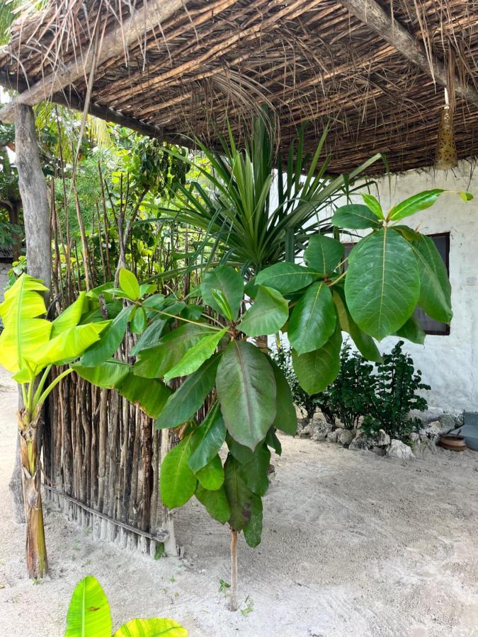 Karanga Bungalows Michamvi الغرفة الصورة